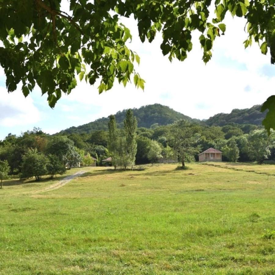 Grand Village Ismayilli Exteriér fotografie