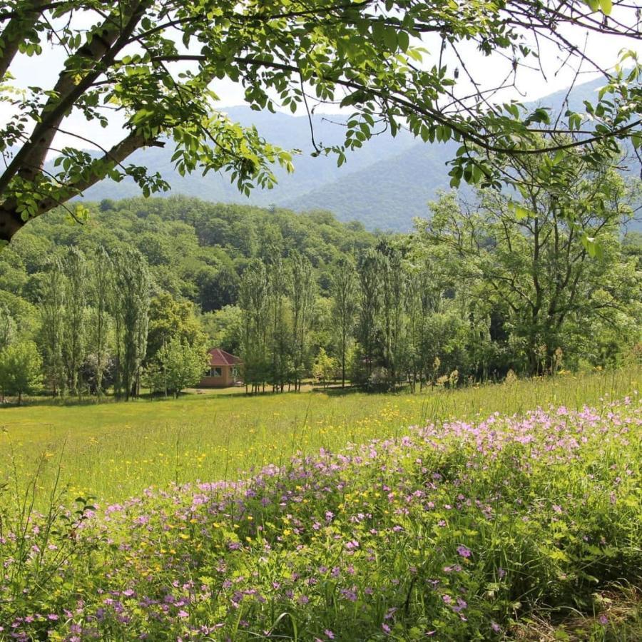 Grand Village Ismayilli Exteriér fotografie