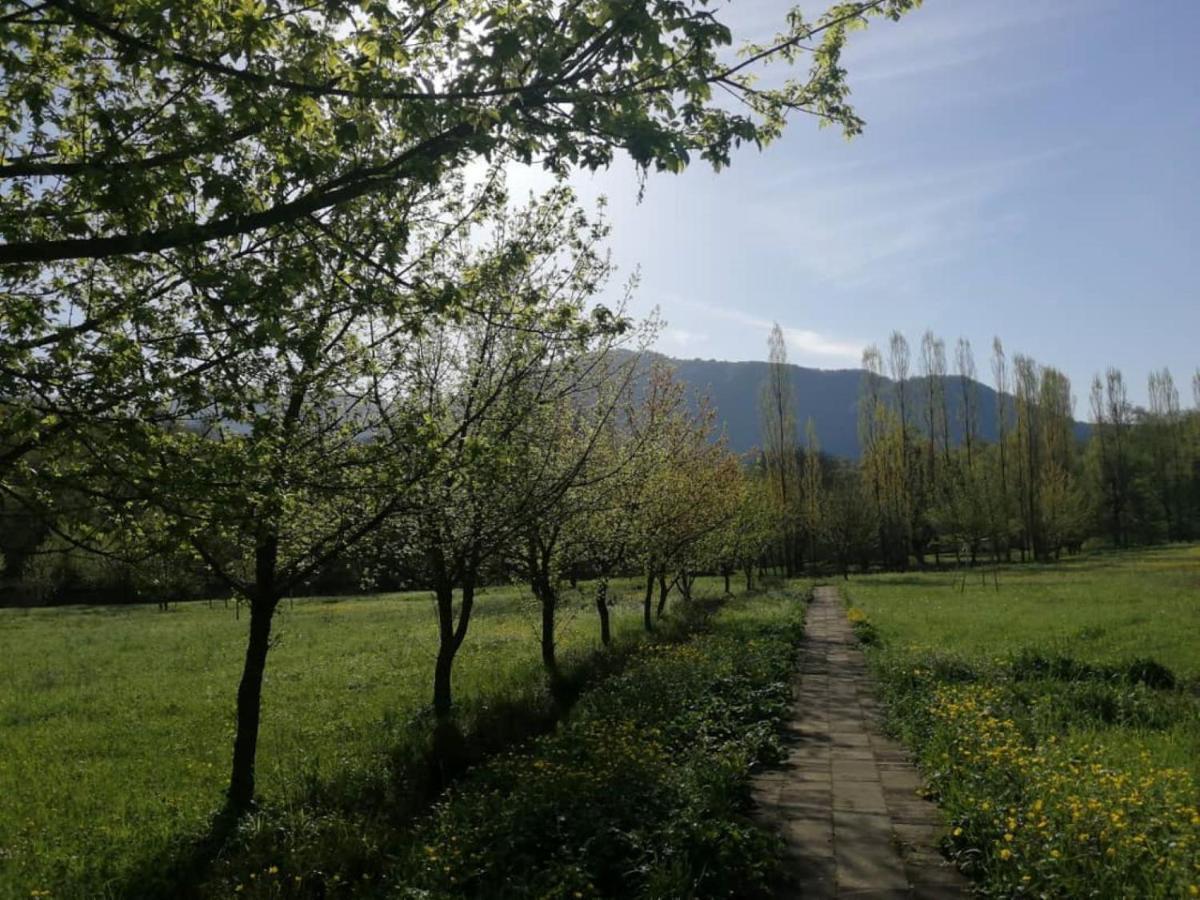 Grand Village Ismayilli Exteriér fotografie